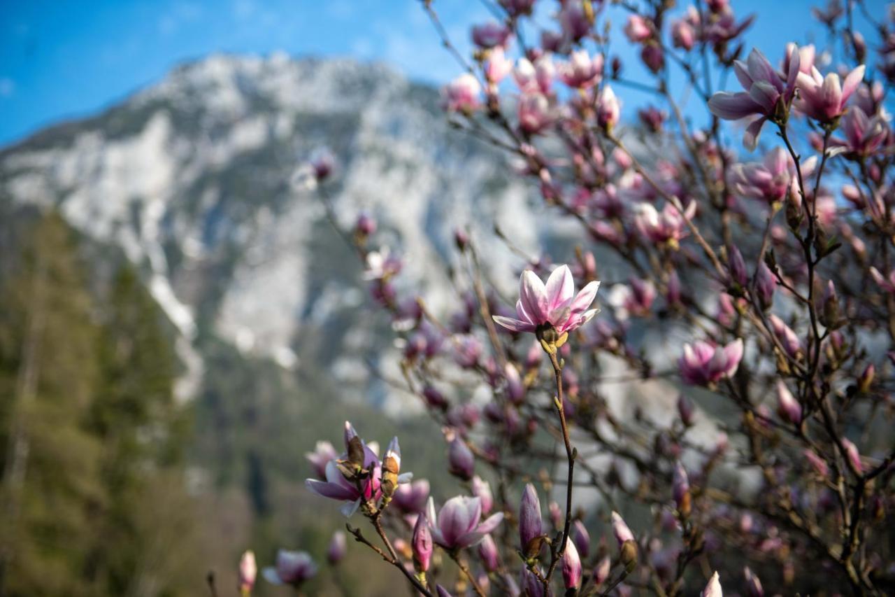 Knoglerhof Inkl. Chiemgaukarte Apartment Ruhpolding Luaran gambar